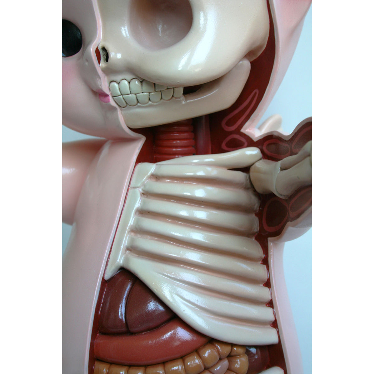 Kewpie Anatomy (22")