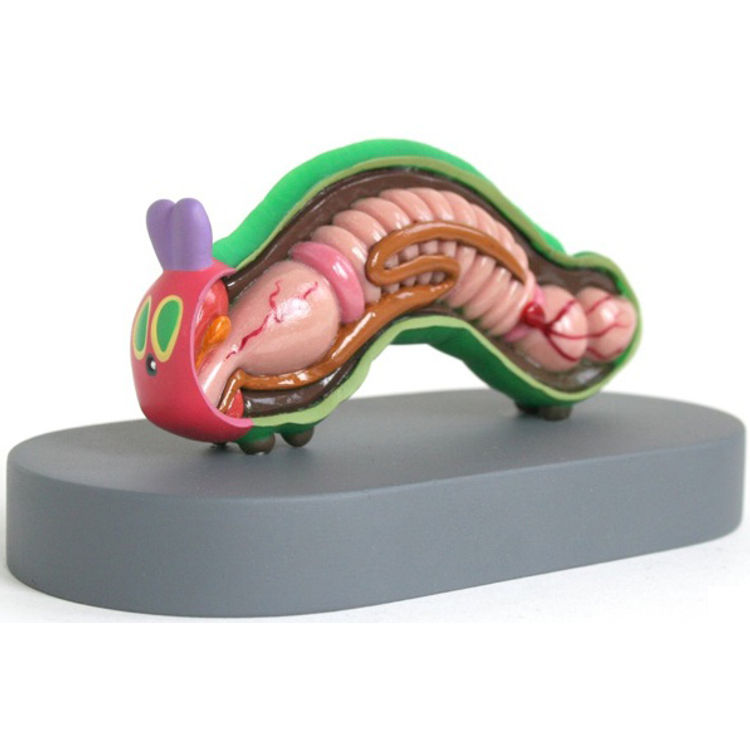Very Hungry Caterpillar Anatomy by Jason Freeny