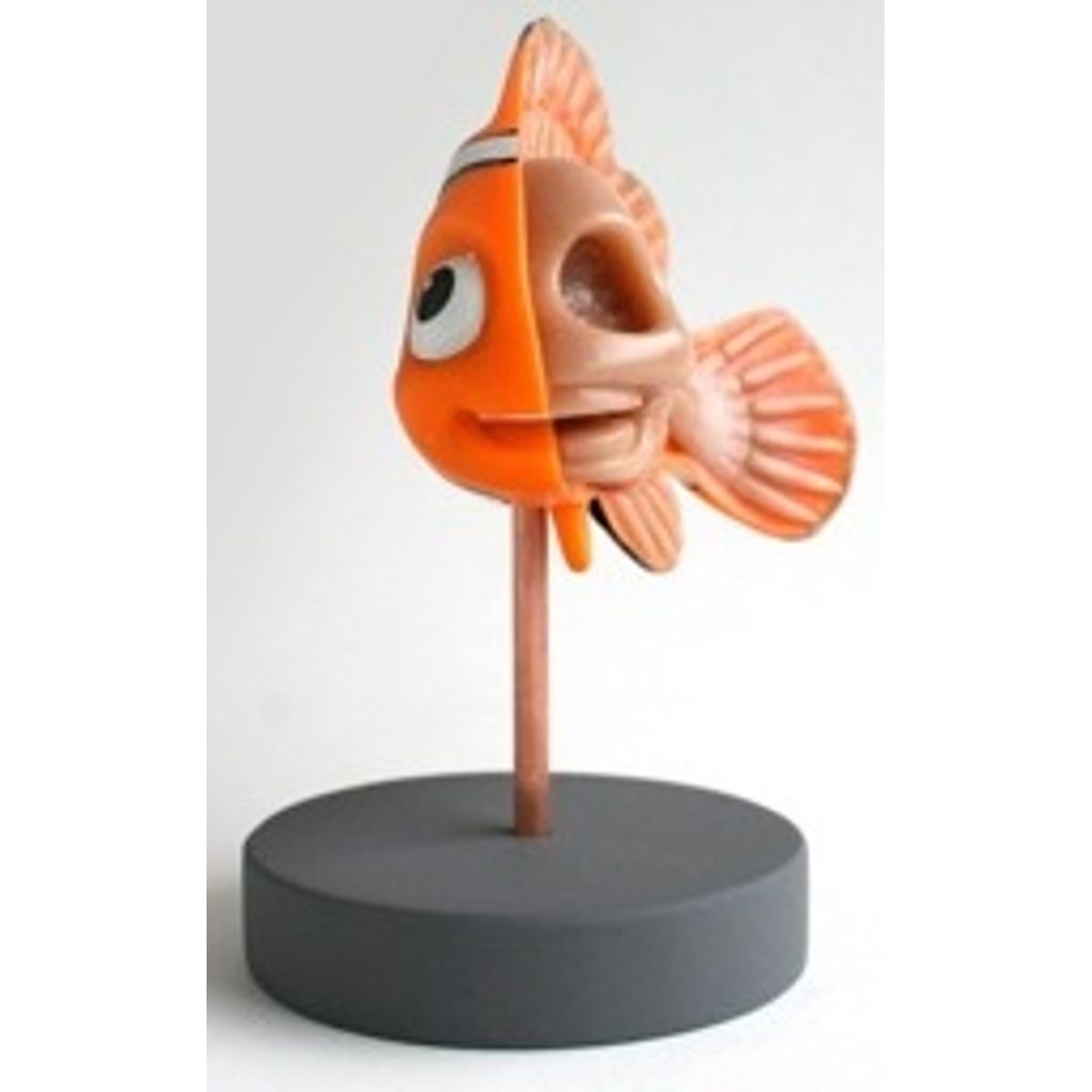 Nemo Anatomy