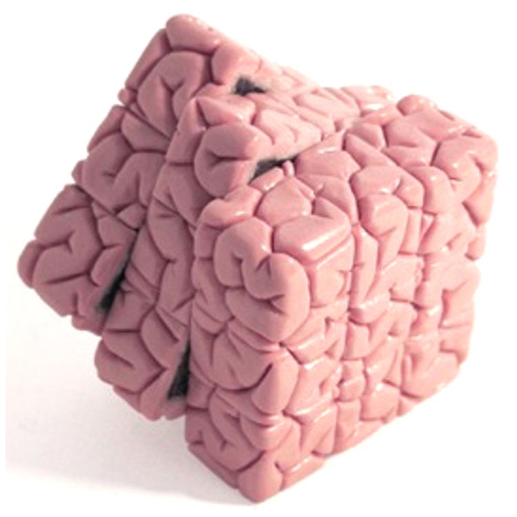 Brain Cube by Jason Freeny