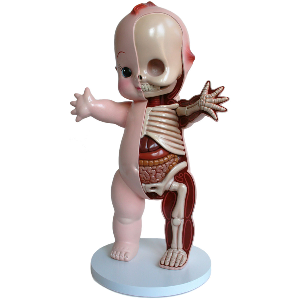 Kewpie Anatomy (22")