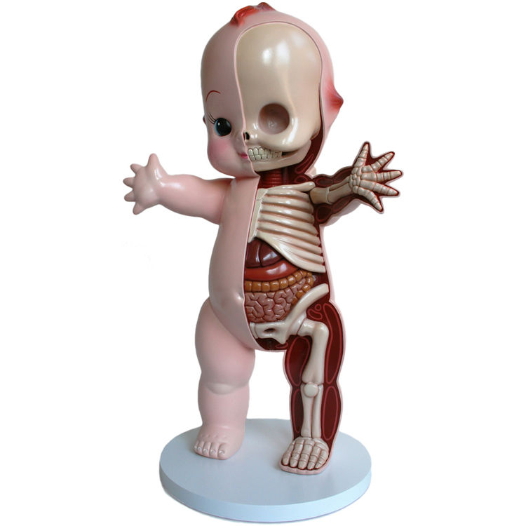 Kewpie Anatomy (22") by Jason Freeny