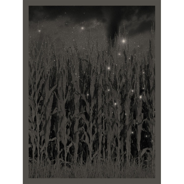 Cornfield/Twister - Variant by Anonymous Ink & Idea
