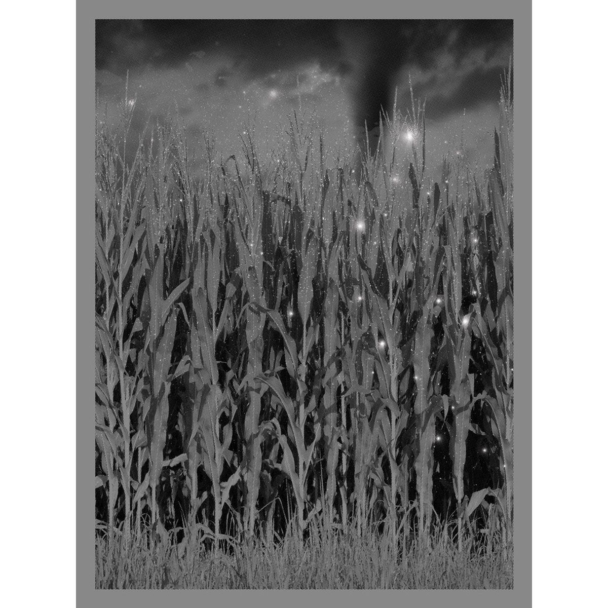 Cornfield/Twister