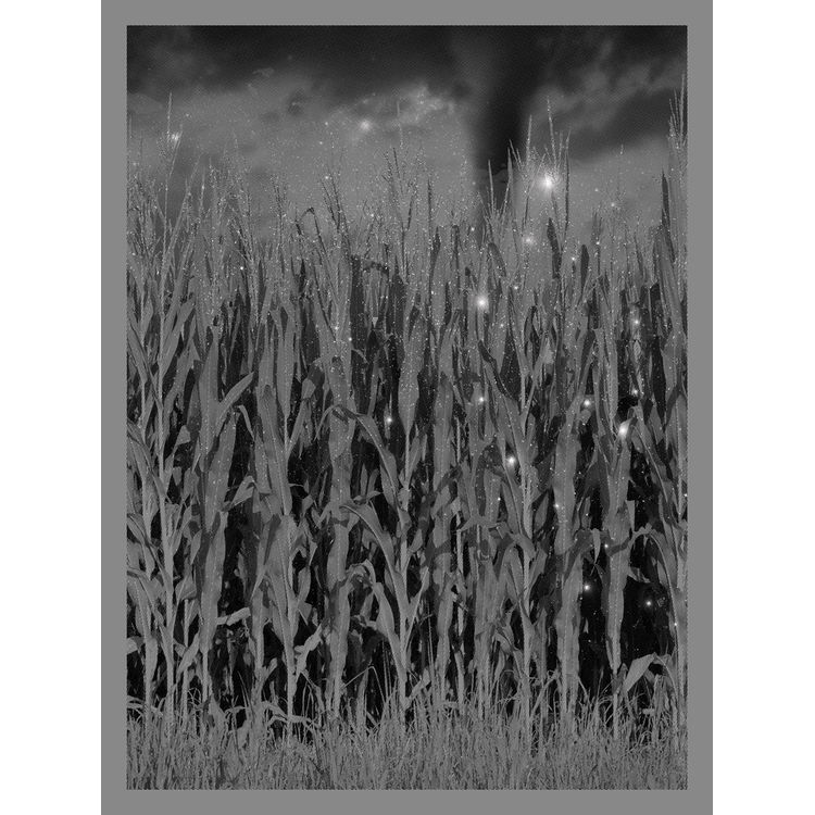 Cornfield/Twister by Anonymous Ink & Idea