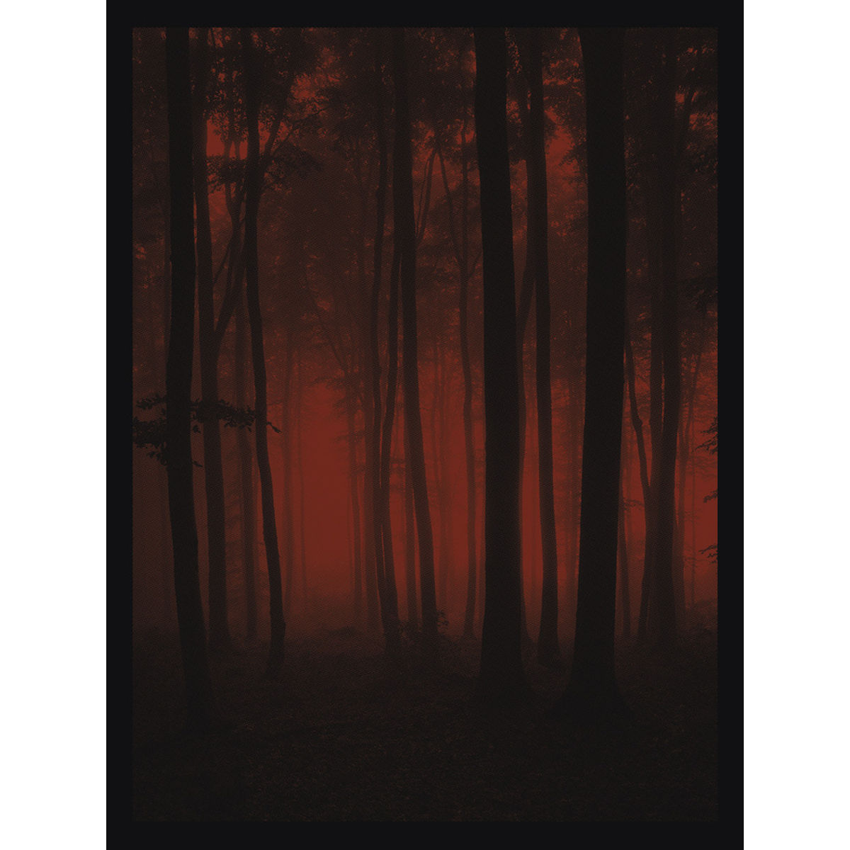Crimson Forest