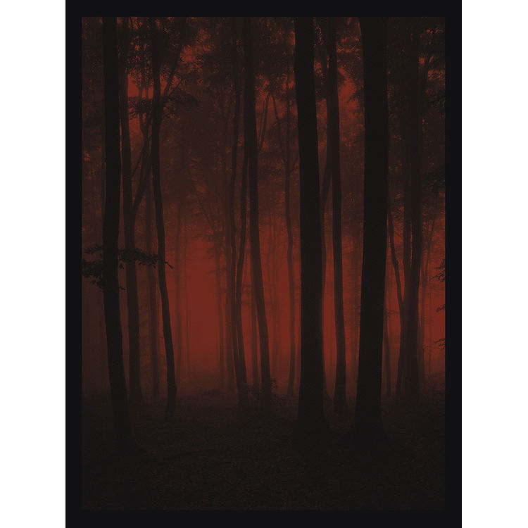 Crimson Forest by Anonymous Ink & Idea