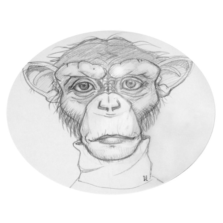Sham Drawing by Ken Keirns
