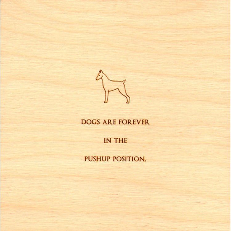 Dogs by Kiersten Essenpreis