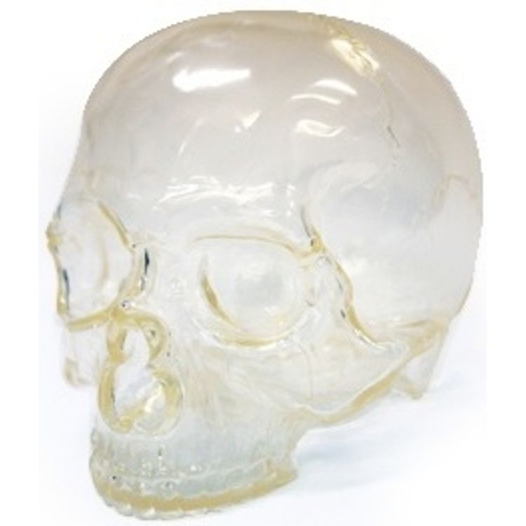 Skull Head - Clear by Secret Base