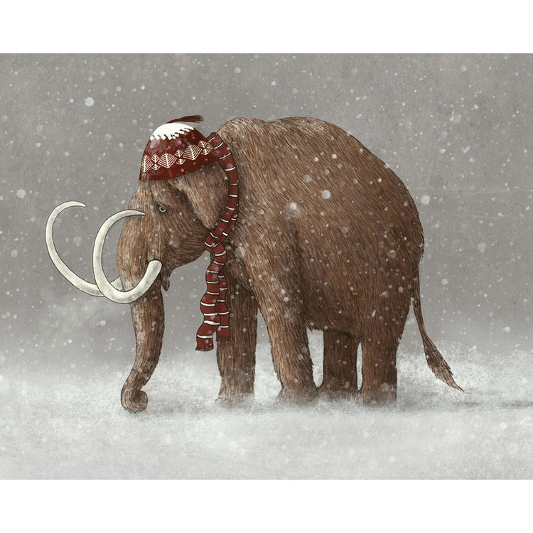 Everyone gets cold by Terry Fan
