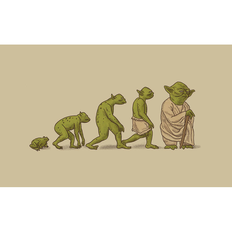 Yodalution by Terry Fan