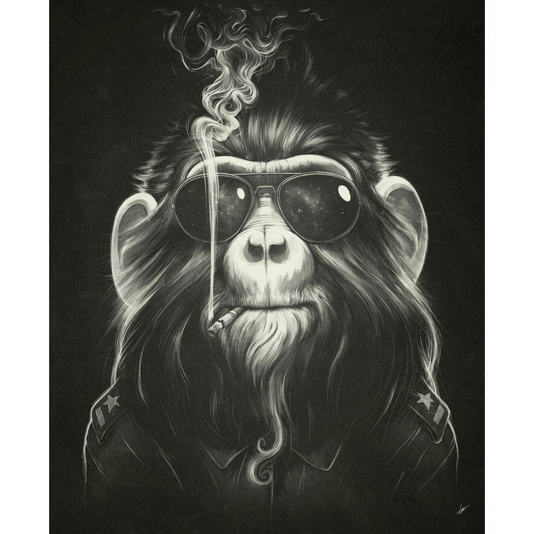 Smoke 'Em If You Got 'Em by Dr. Lukas Brezak