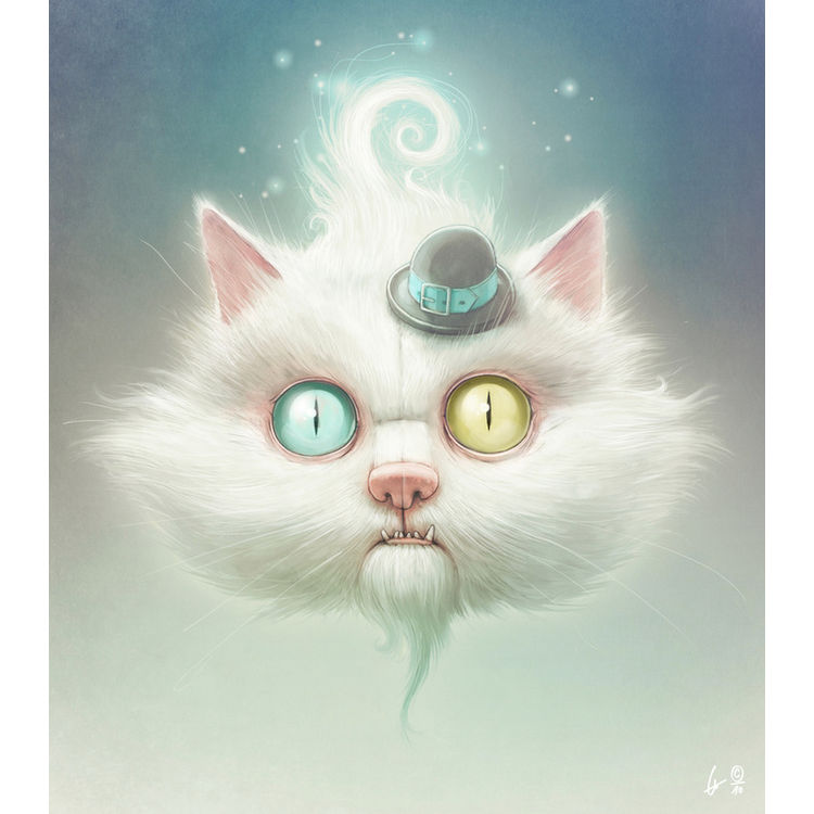 Release the Odd Kitty!!! by Dr. Lukas Brezak