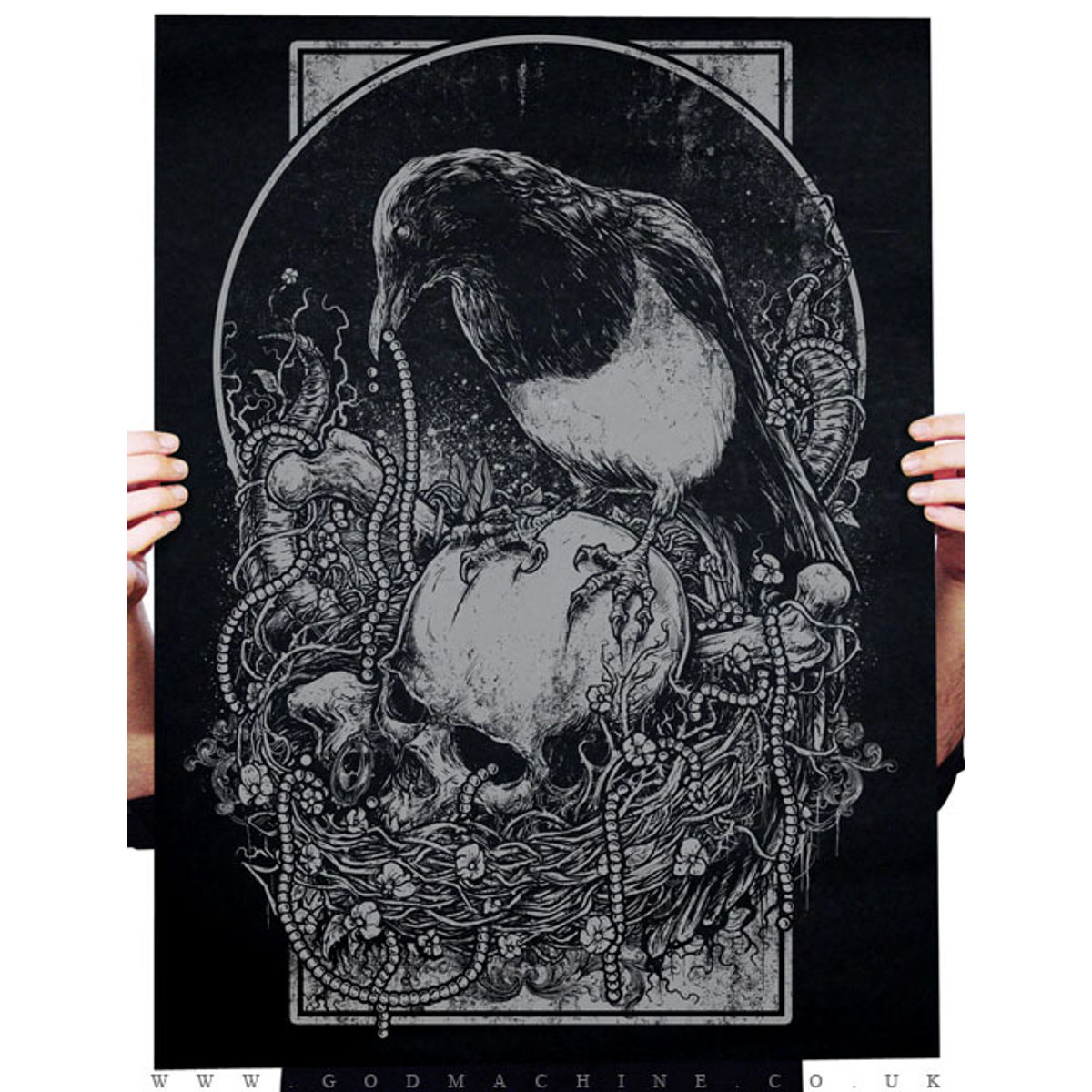 MAGPIE