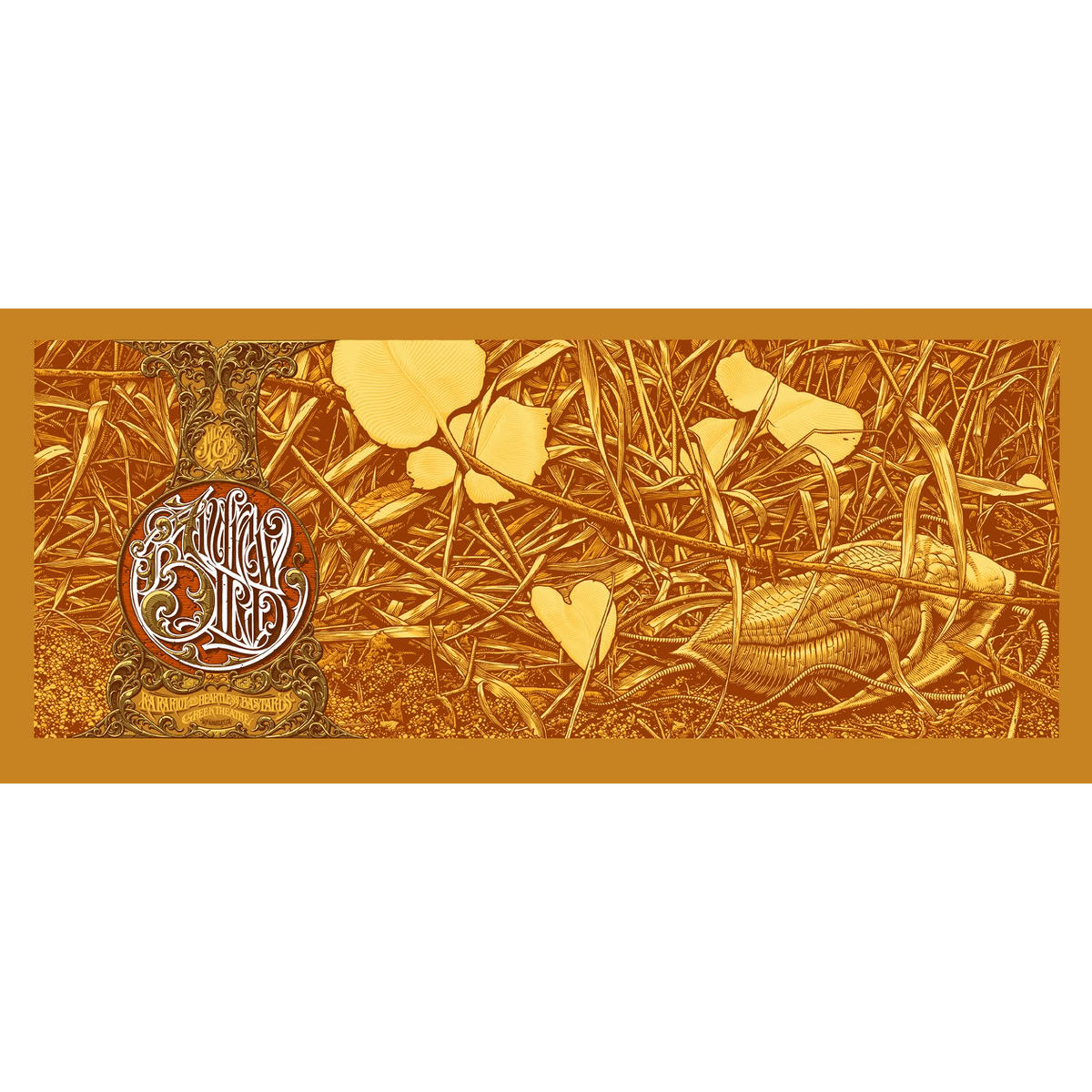 Andrew Bird (Orange)