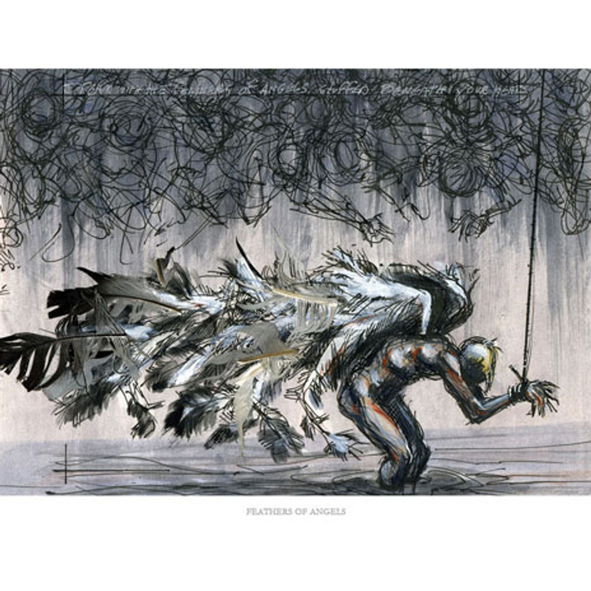 Feathers Of Angels