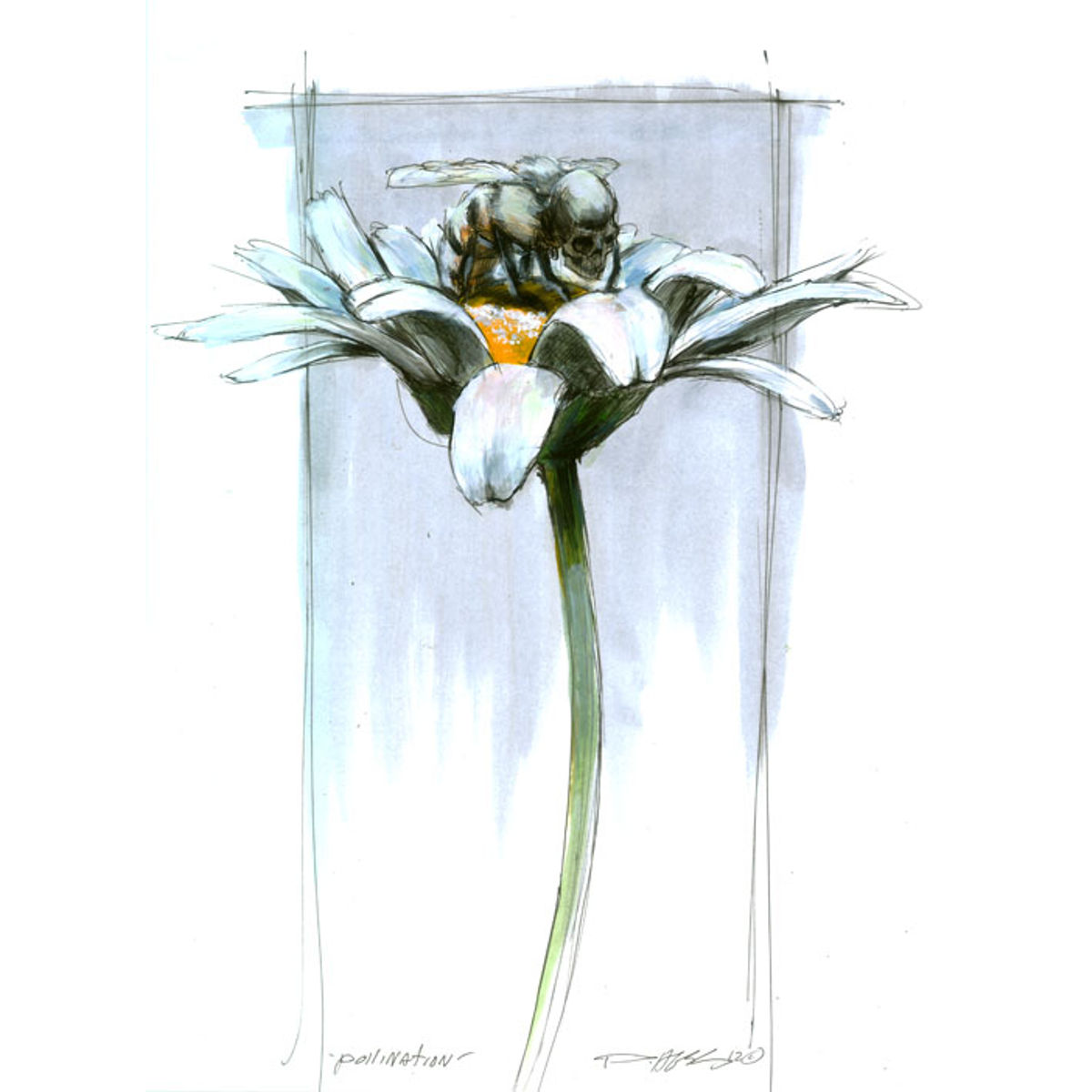 Pollination
