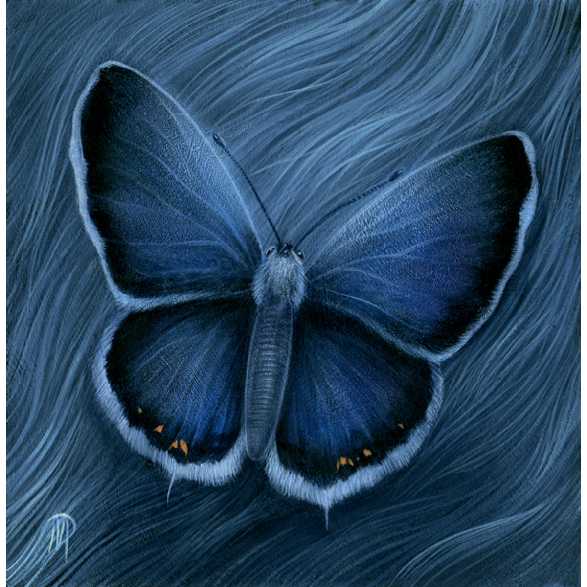Blue Wonder