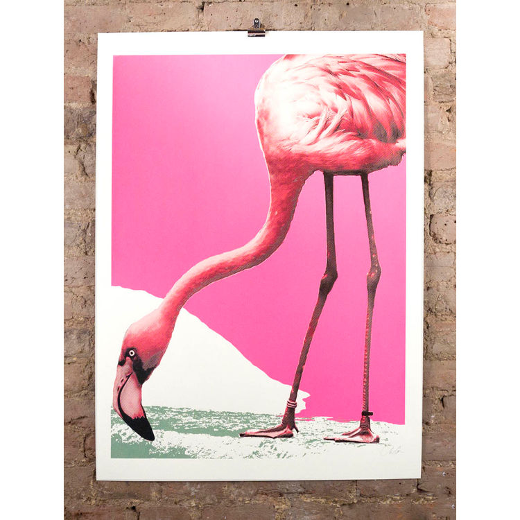 flamingorama by Aida