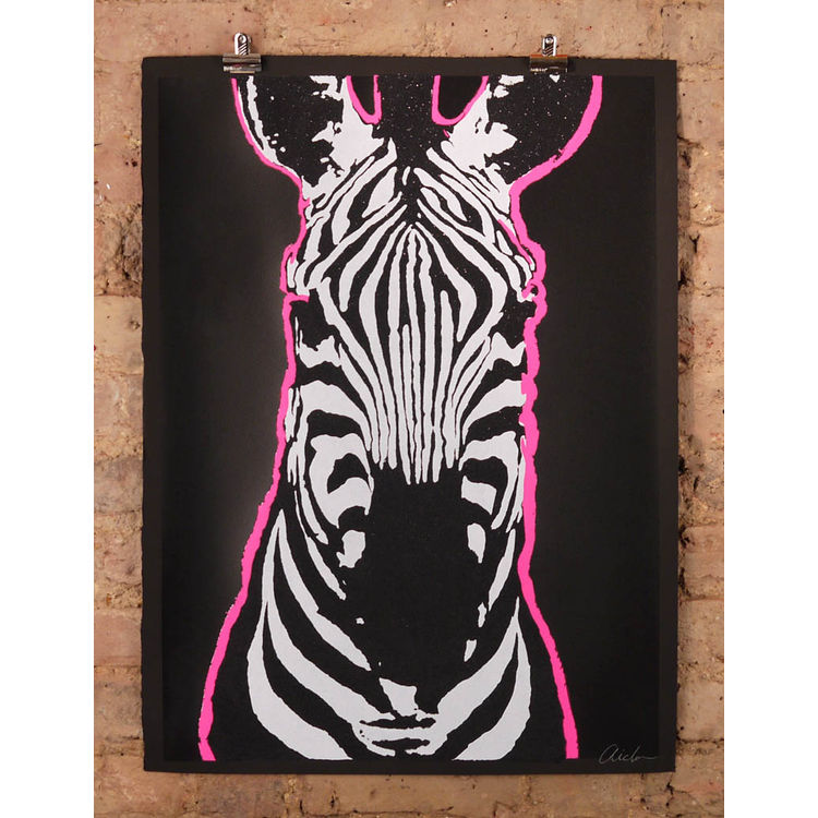 zevra - black background by Aida