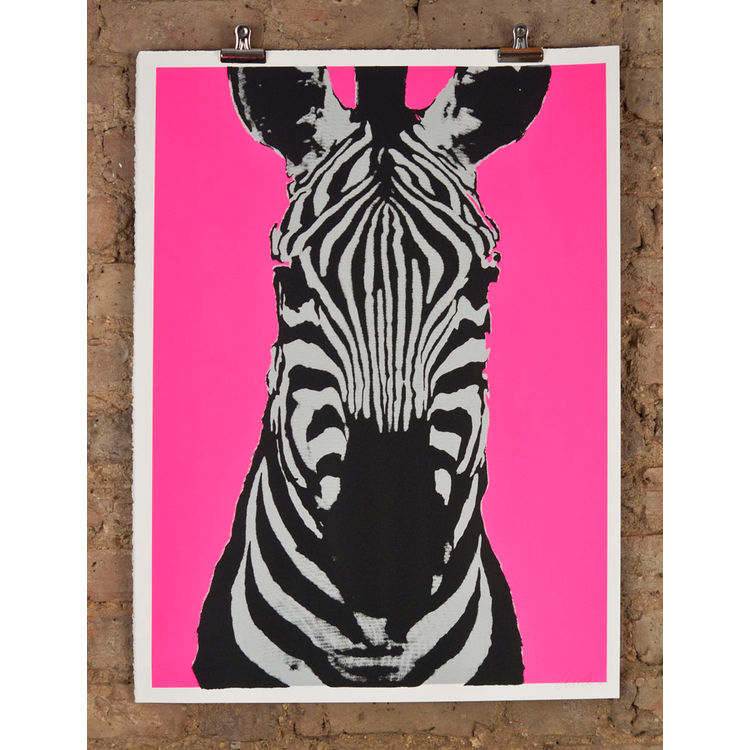 zevra silver & pink by Aida