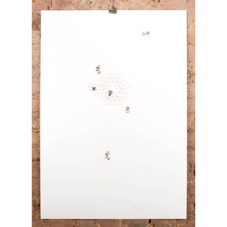 bee flower - wild honey by Jessica Albarn