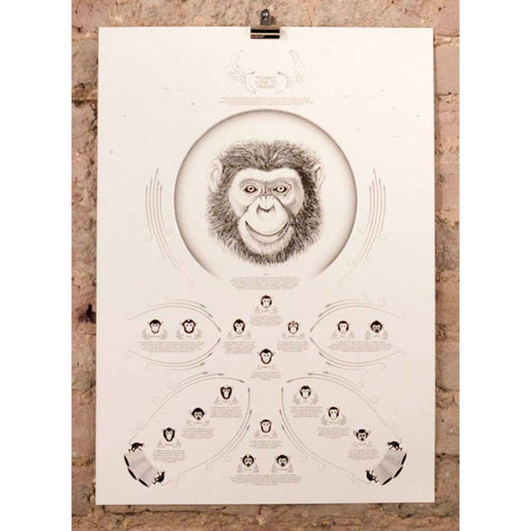 monkeys go to heaven - straw by ian mcdonnell