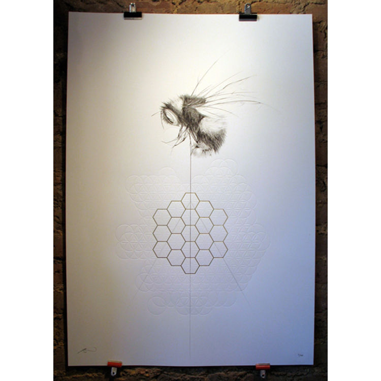 balancing bee honey by Jessica Albarn