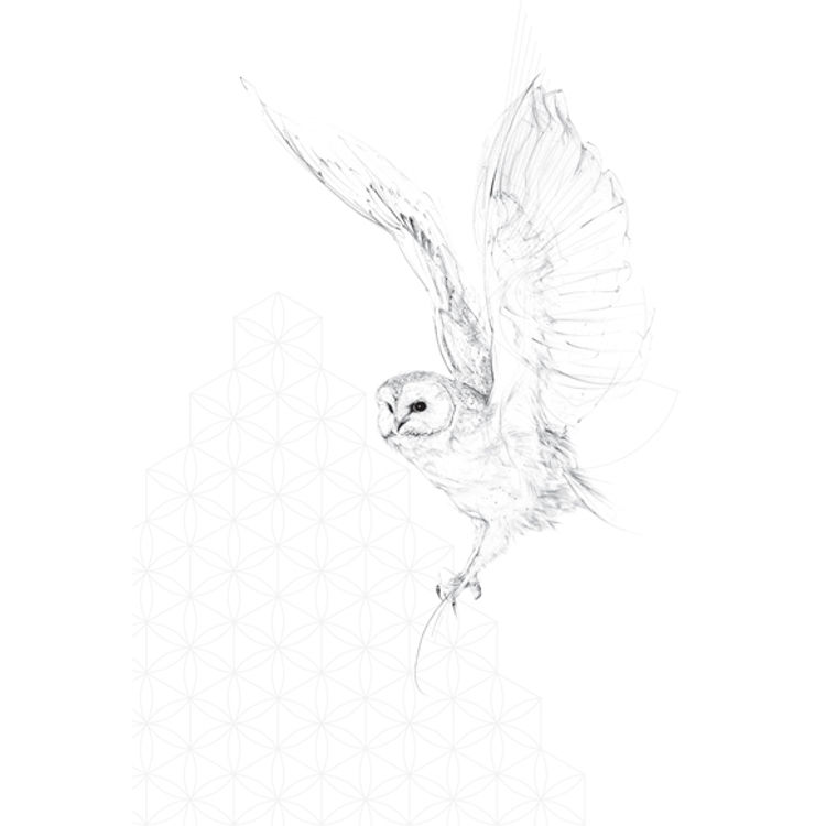 owl with geometric forms by Jessica Albarn