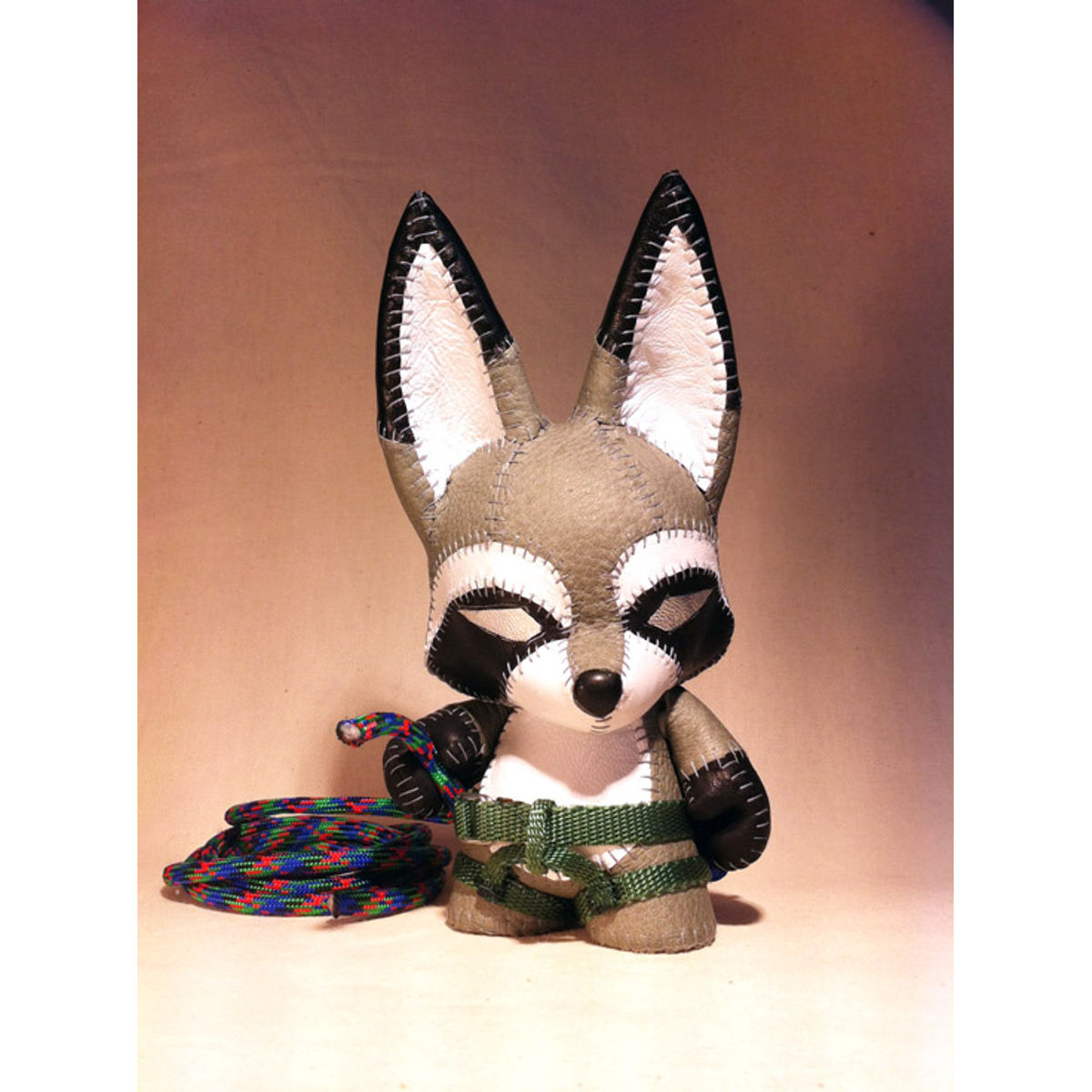 Rocky Rockclimbing Raccoon