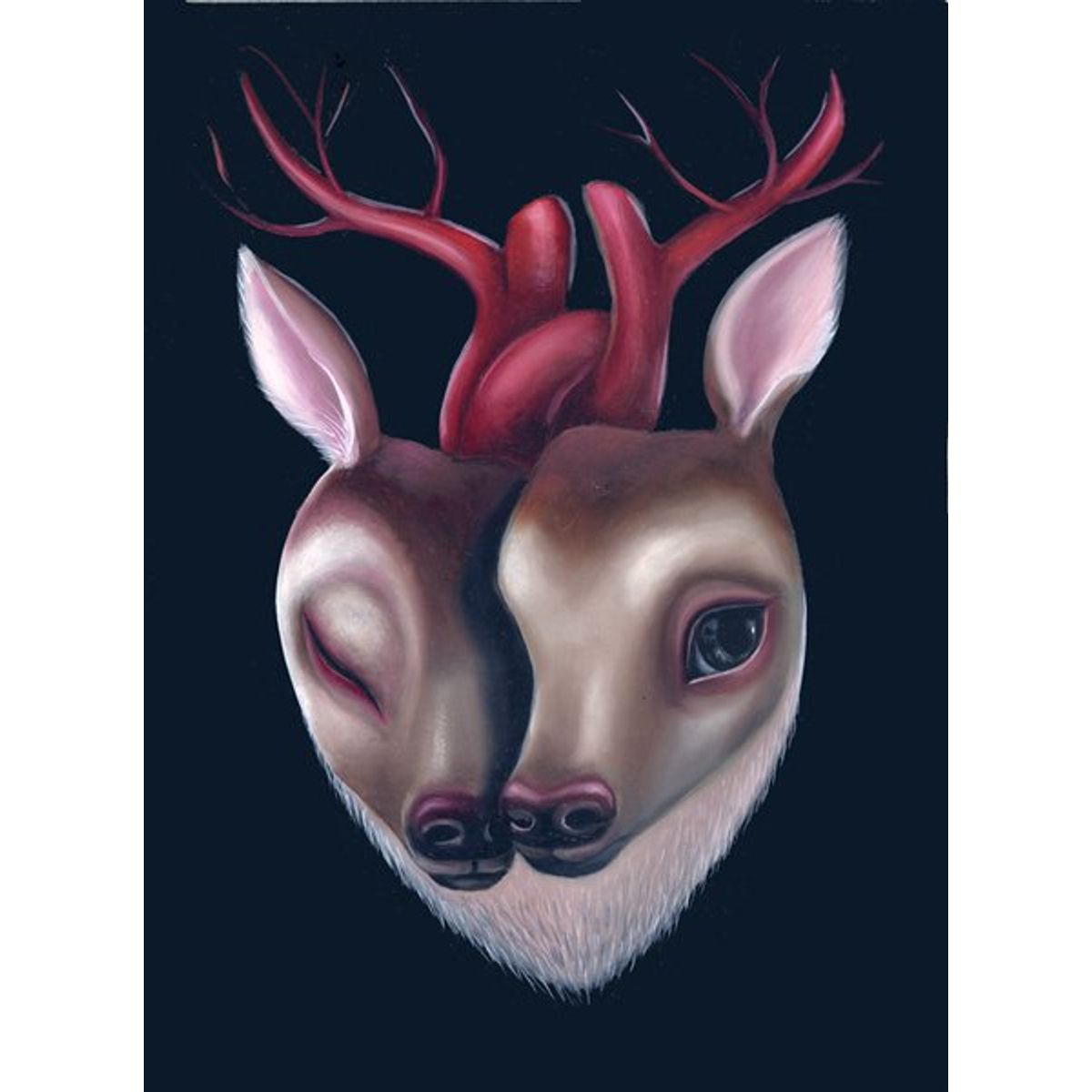 Deer Heart