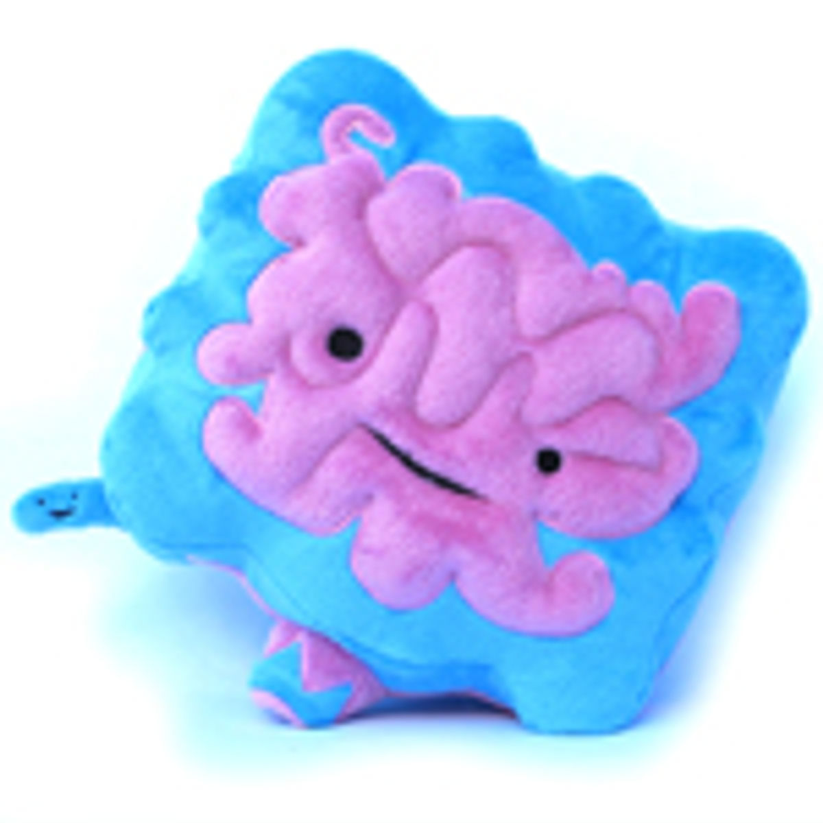 Intestine + Appendix - Go With Your Gut!