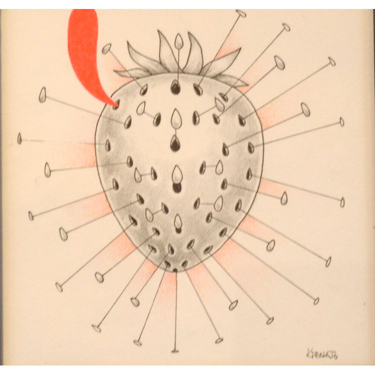 Seedsplosion by Kelly Denato