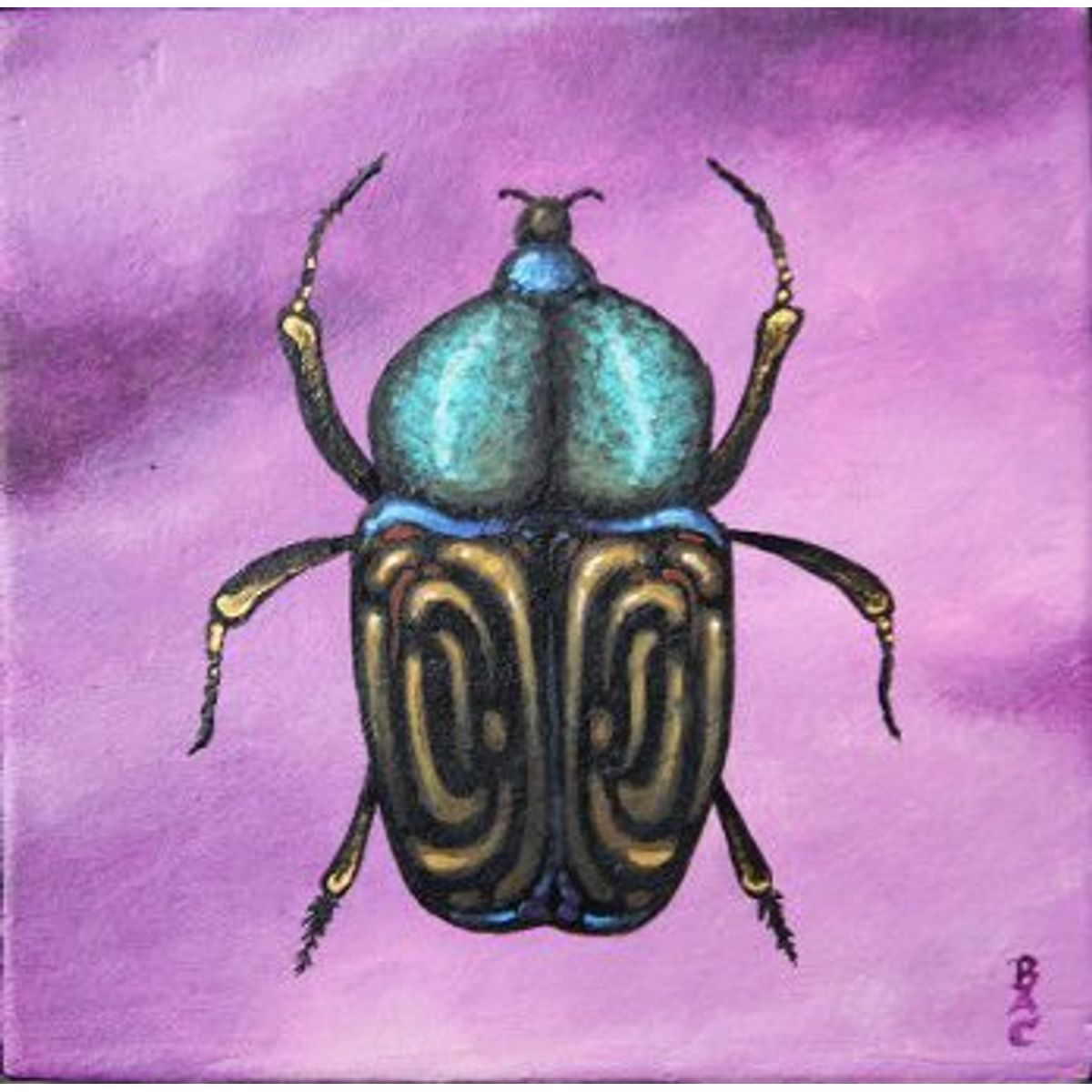 Untitled Insects