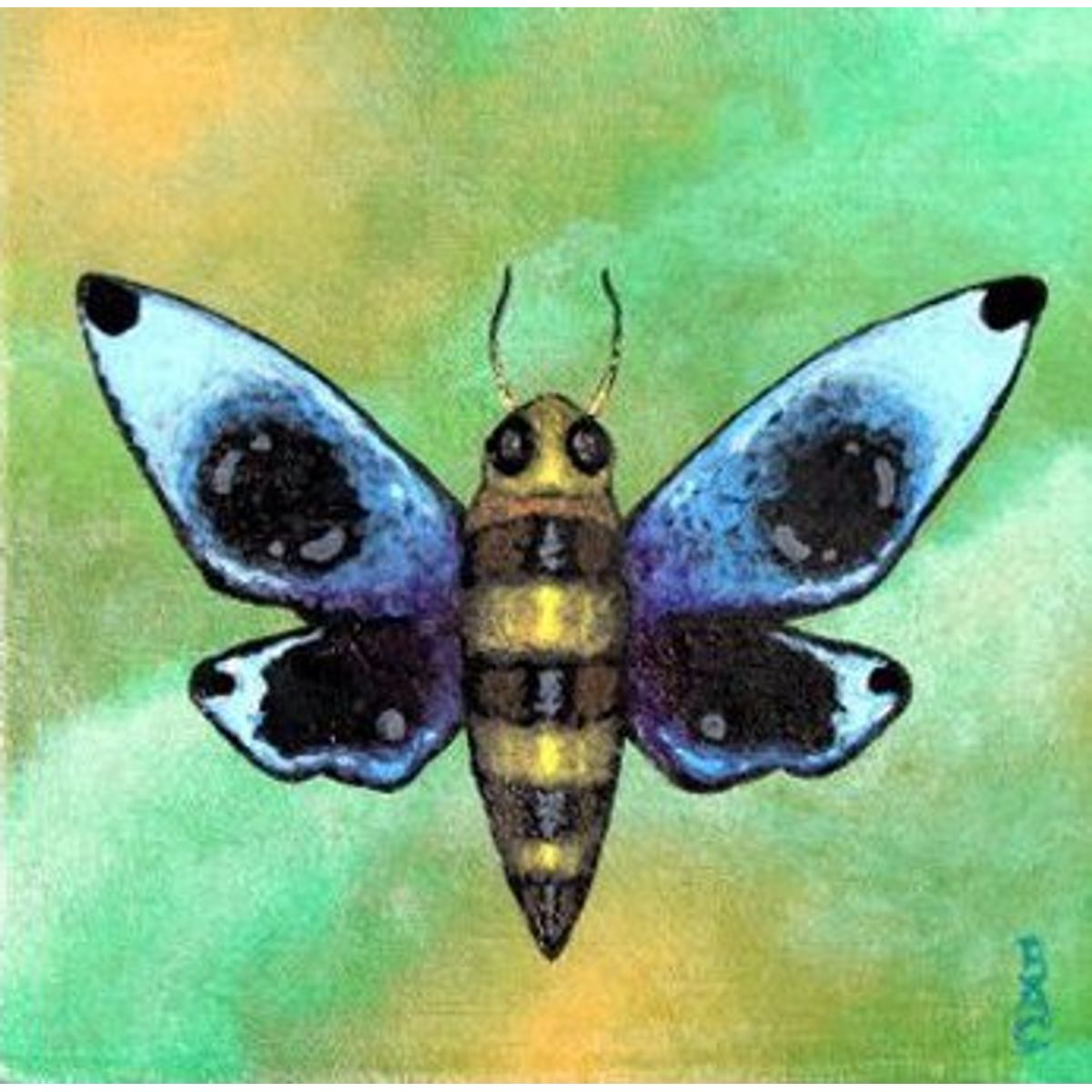 Untitled Insects