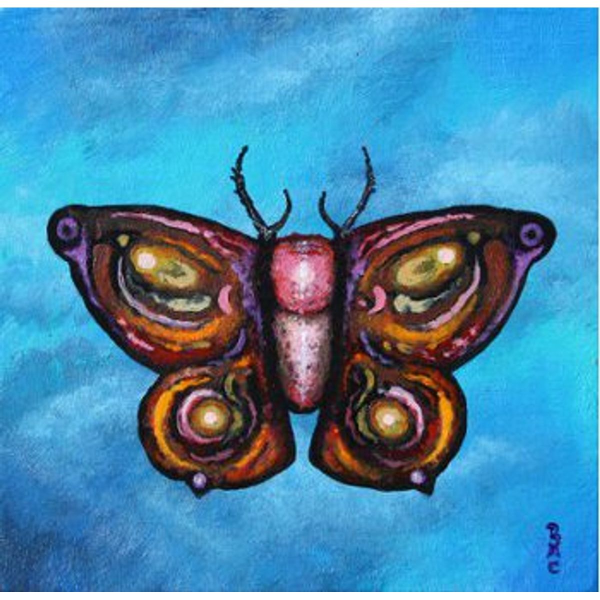 Untitled Insects