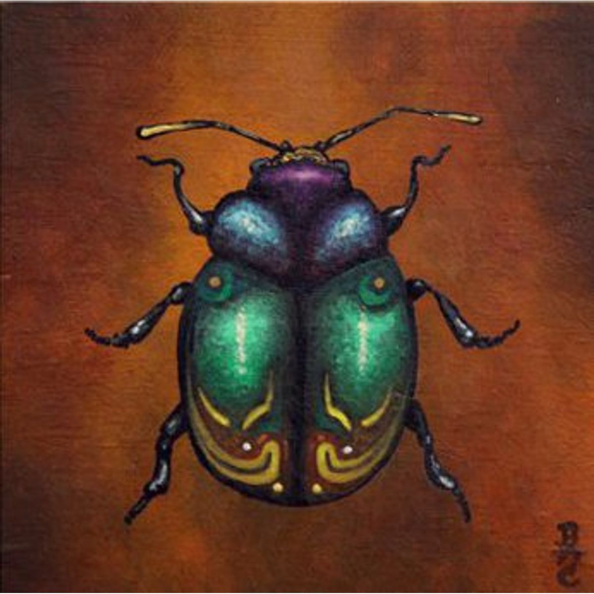 Untitled Insects