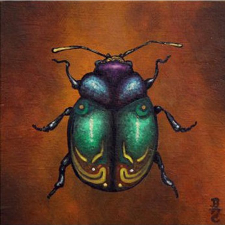Untitled Insects by Color Chemist (Bryan Collins)