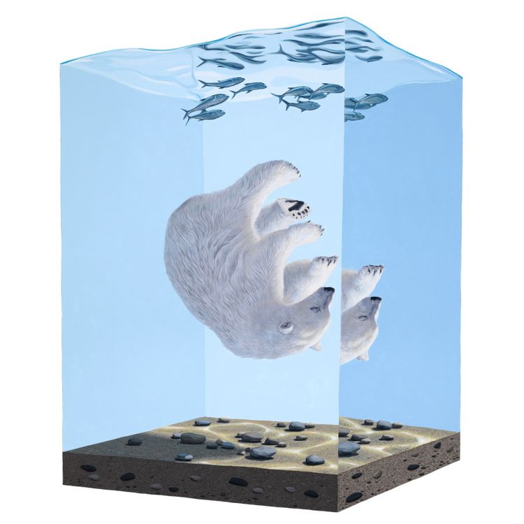 Descent by Josh Keyes
