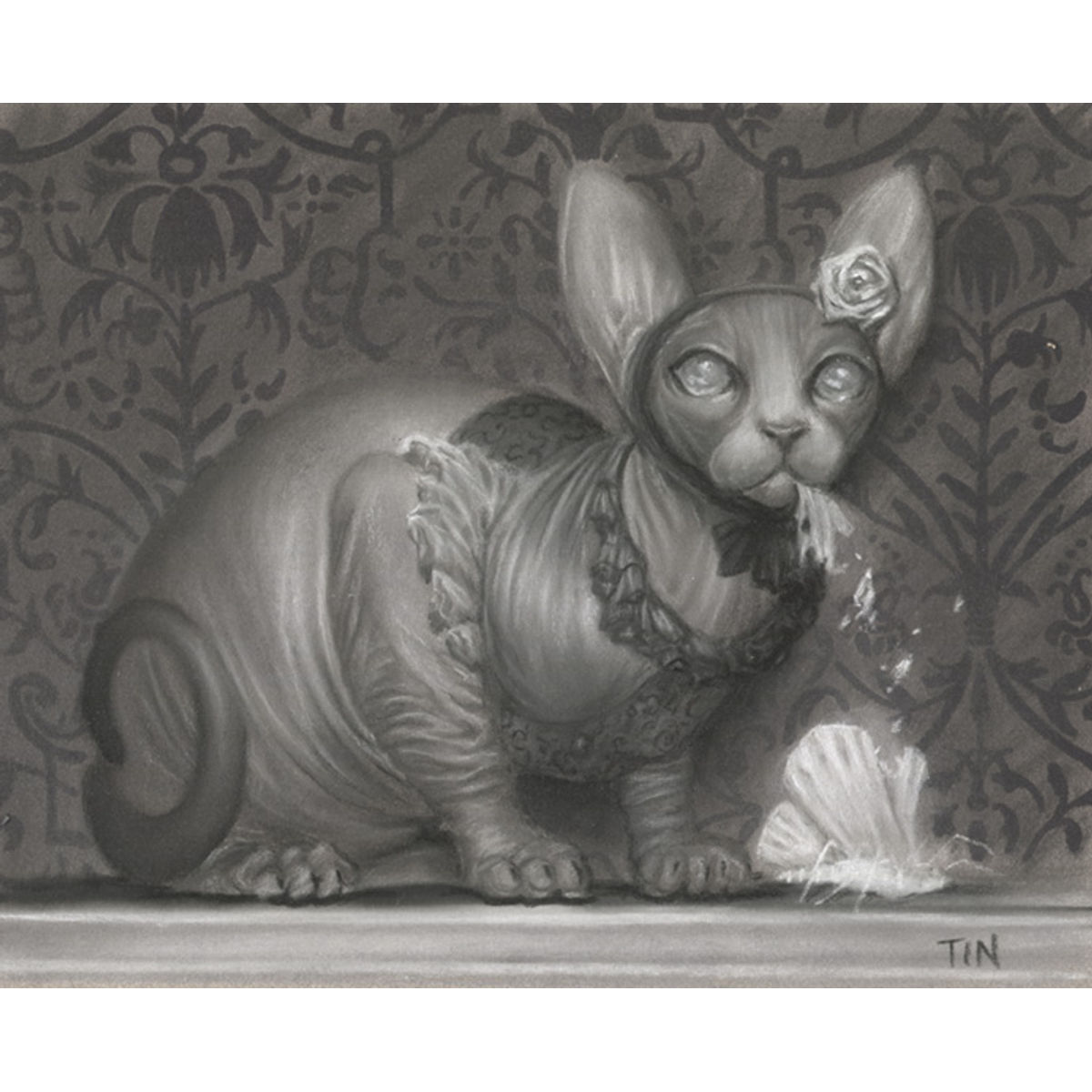 Victorian Sphynx Study