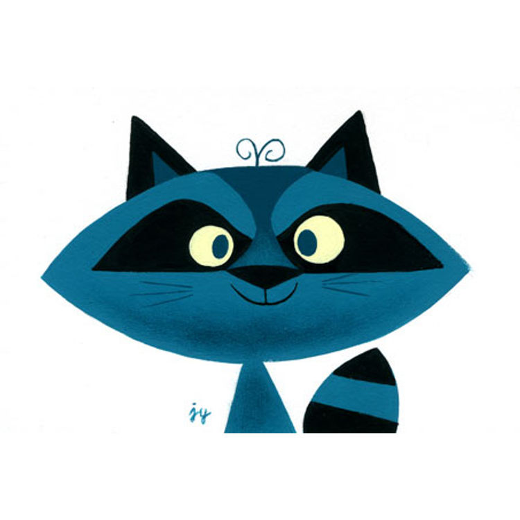 Raccoon by Johnny Yanok