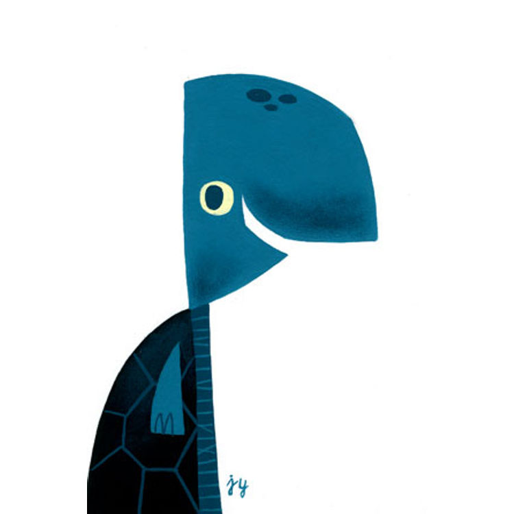 Turtle by Johnny Yanok