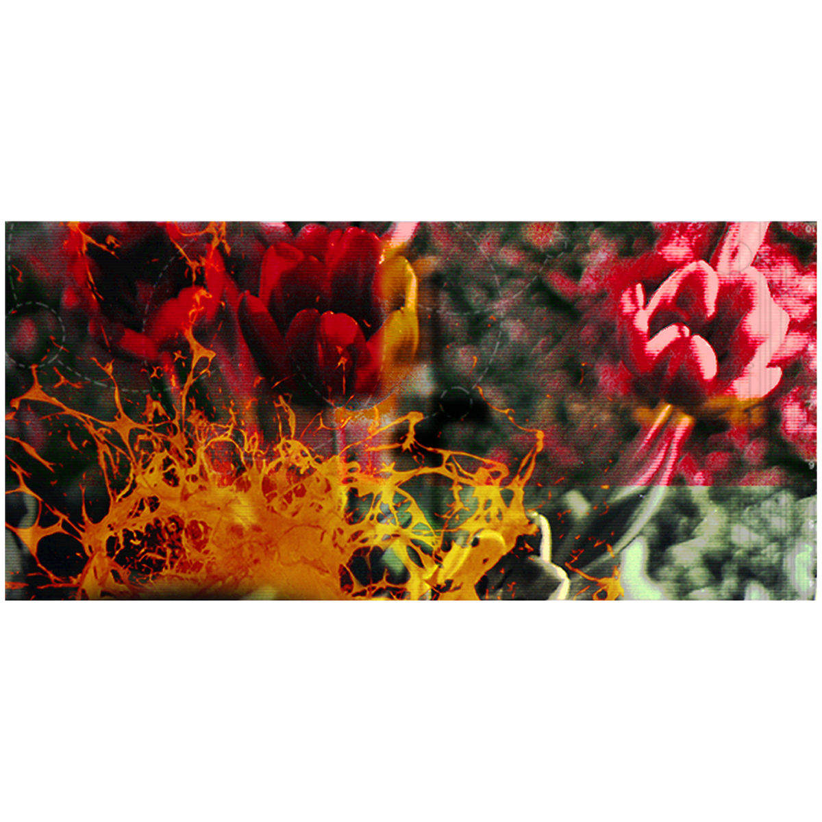 Curving Toward The Sun