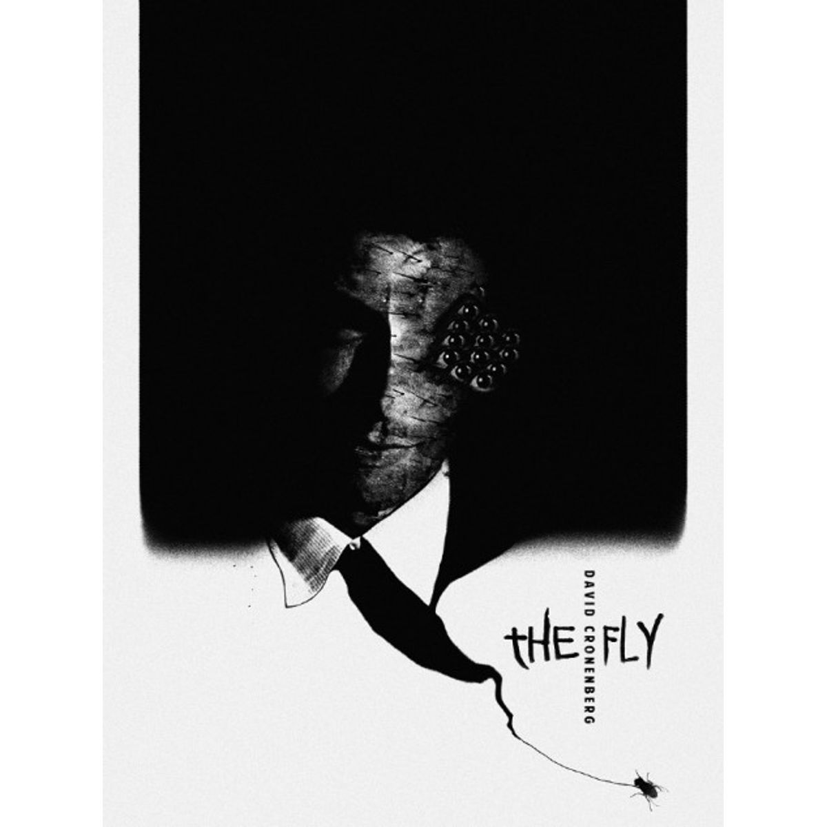 The Fly
