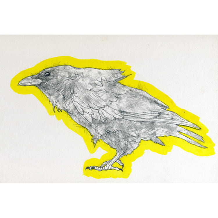 Put A Bird On It by Owen Sherwood