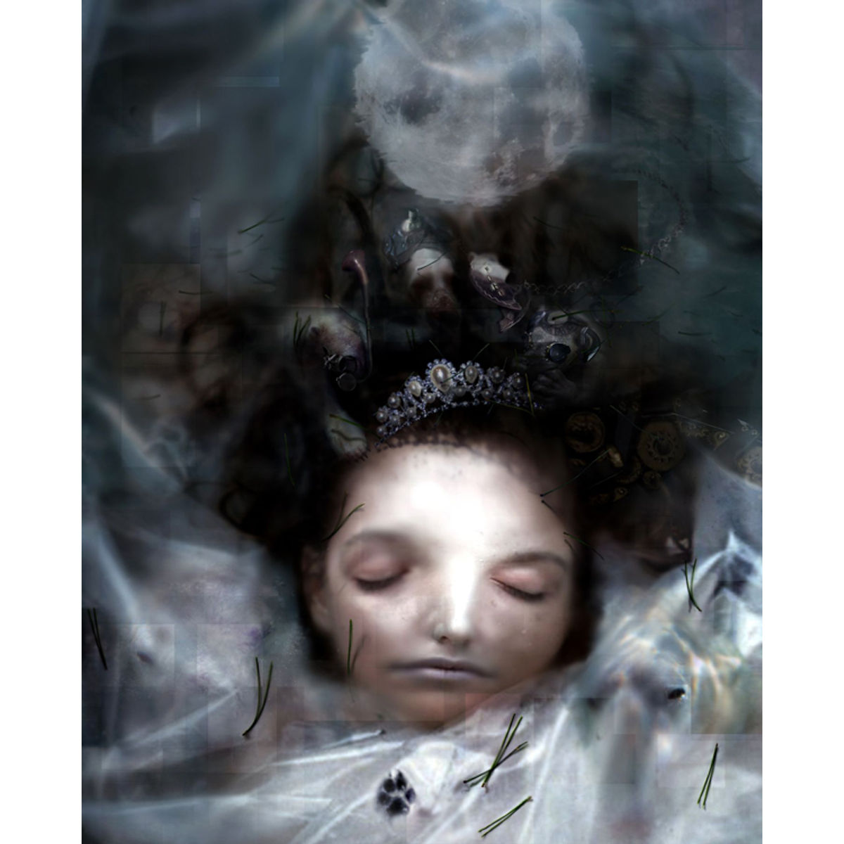 Pale Moon Over Black Lake