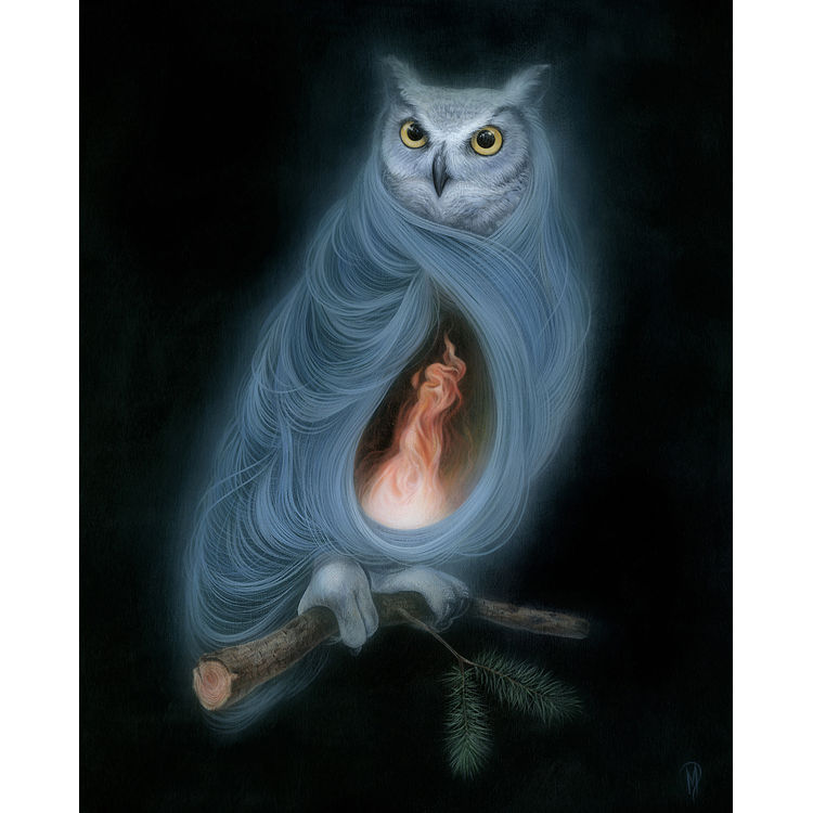 The Owls Are Not What they Seem by Dan May