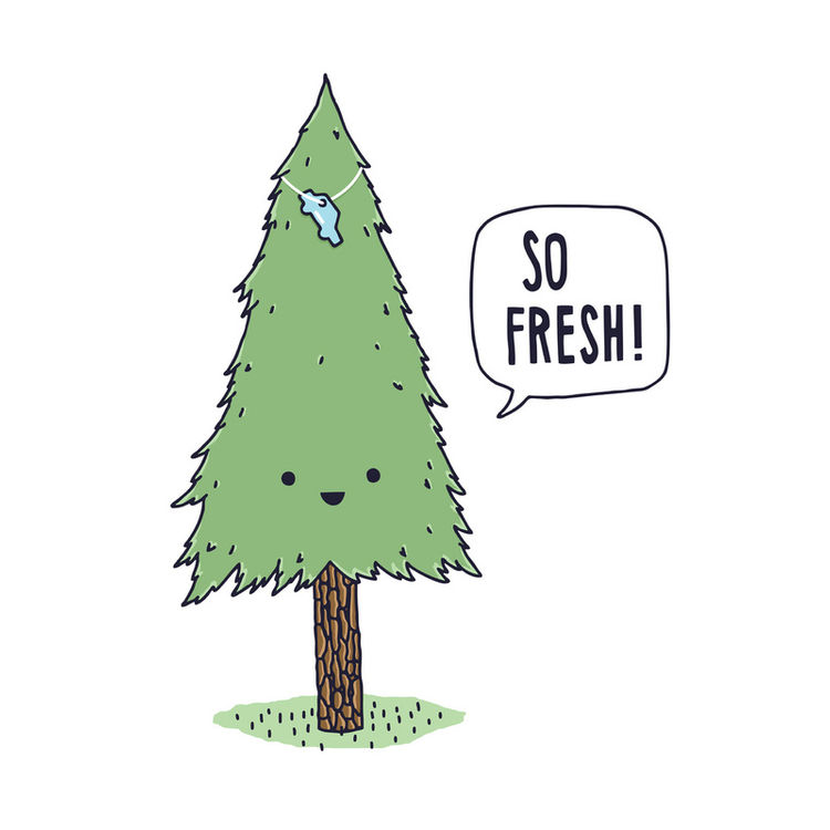 So Fresh! by Jaco Haasbroek