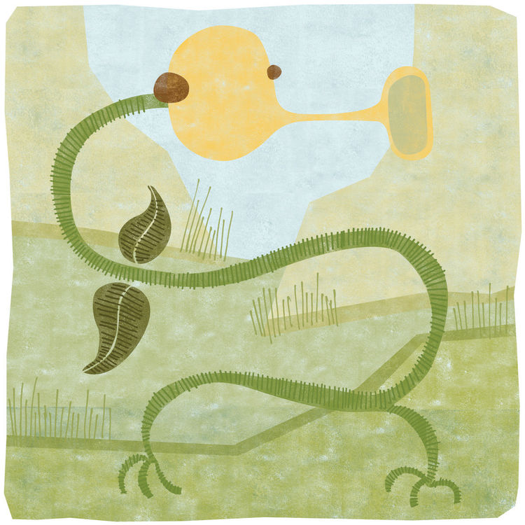 Bellsprout by Kyle Strash